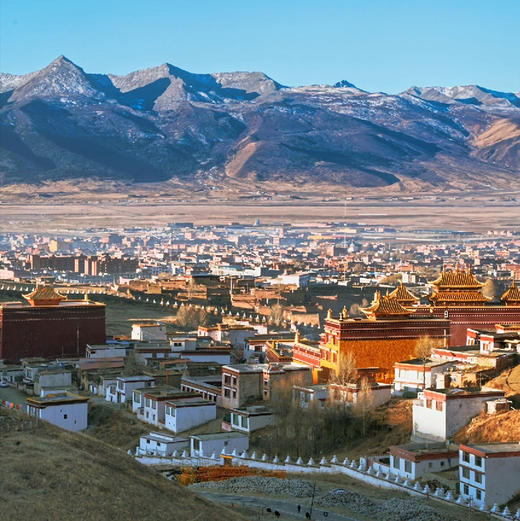 懂货的来，数量ji少，实际库存，理塘高原ye生黄芪扎根深、筋骨壮，相对普通黄芪内含物质geng好！ 商品图3