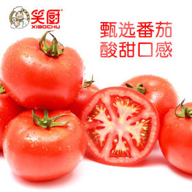 笑厨（XIAOCHU）新疆番茄酱30g*15袋/盒配料只有（鲜番茄）0添加剂意面薯条调味酱 /粮油调味 /调味品 /西式酱料