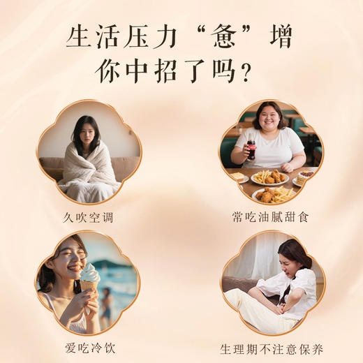 九蒸九晒小黄姜粉 浓缩8斤鲜姜≈1斤粉 古法炮制350目粉质细腻 独立包装  6克*50包 商品图3