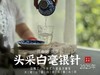 【2025春茶来了】2025头采银针《如琢》，上天精心打磨出的绝世佳品，毫香与花香尽显风流（一斤收藏装） 商品缩略图9