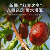 杞里香新疆250g袋装新疆灰枣，皮薄肉厚核小，肉质紧实密度大，口感软糯清甜不腻，新疆昼夜温差大，日照时间长，雪水灌溉，灰枣糖分高，清甜口感 商品缩略图2