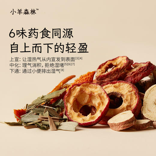 「藿香淡竹茶」 身体有水湿 配方平和 湿热寒湿都适用 商品图1