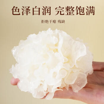 农相忘椴木 小银耳 200g 银耳莲子百合羹配料 炖煮软糯多胶 /粮油调味 /南北干货 /菌菇干货 商品图0