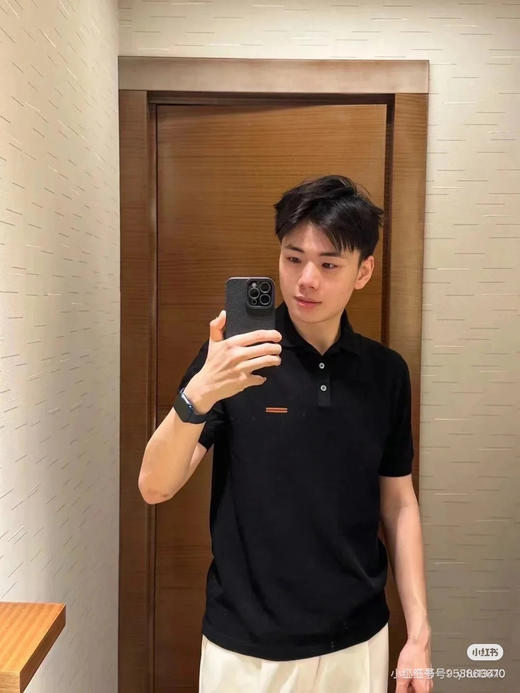 2505107   杰尼亚 商务休闲 polo短袖 棉 商品图4