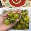 【青霞千禧】绿千禧，口感甜，皮薄，特别好吃，补充维生素，家里小朋友的零食水果！ 商品缩略图7