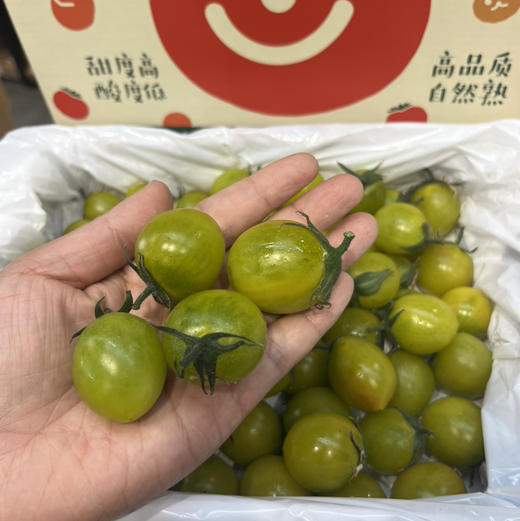 【青霞千禧】绿千禧，口感甜，皮薄，特别好吃，补充维生素，家里小朋友的零食水果！ 商品图7