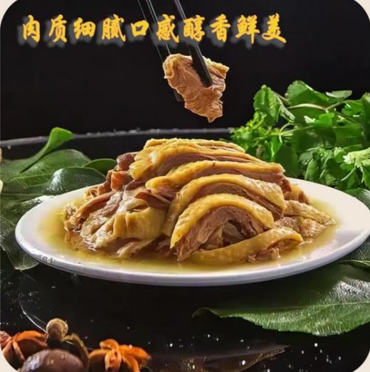 湘飘雪峰 原味溆浦鹅 古法卤制 商品图2