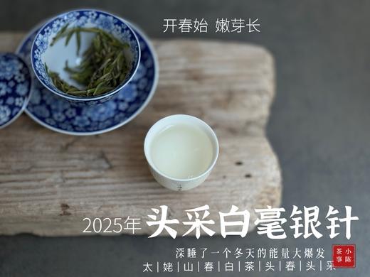 【2025春茶来了】2025头采银针《如琢》，上天精心打磨出的绝世佳品，毫香与花香尽显风流（一斤收藏装） 商品图12