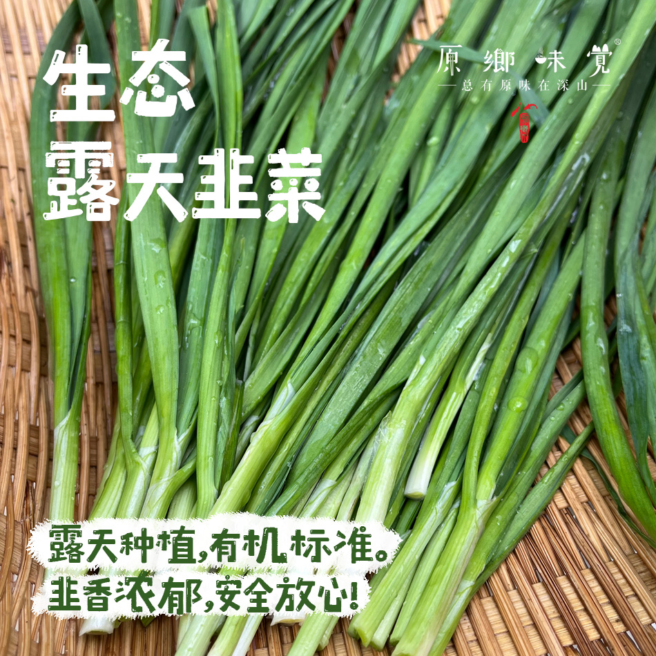 生态露天韭菜（农场直发-顺丰包邮）| 2斤/箱，成都郫都区基地，【原乡农场，自产自销】