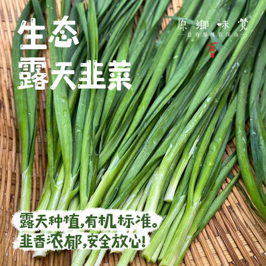 生态露天韭菜（农场直发-顺丰包邮）| 2斤/箱，成都郫都区基地，【原乡农场，自产自销】 商品图0