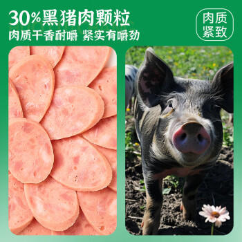 金锣火腿肠 肉粒多黑猪肉香肠共320g 8支/盒 优质火腿肠 /粮油调味 /方便食品 /火腿肠 商品图6
