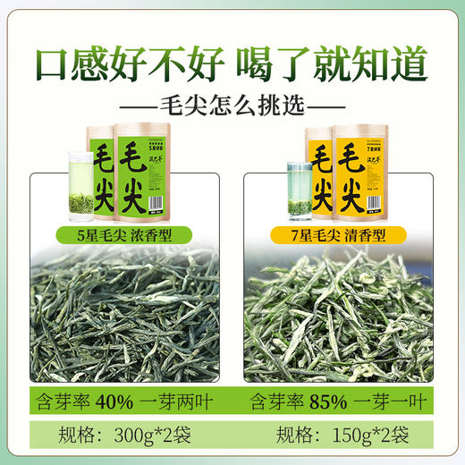 【2026新茶上市】泥巴哥7星毛尖明前春茶嫩芽绿茶150g*2袋 商品图3