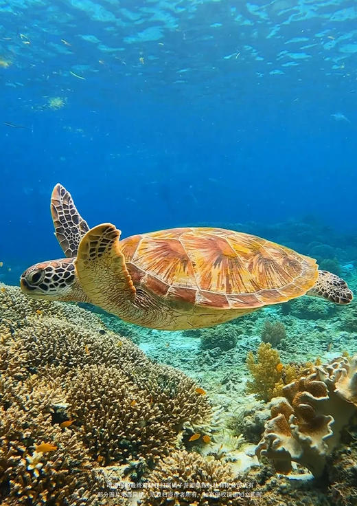 【秘境·仙本那水上屋】广州南航四飞-5 天 4 晚 商品图2