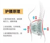 二店y JM中脉护腰带，可以长期坚持使用的护腰带 商品缩略图12