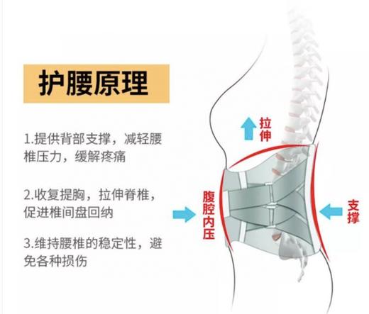 二店y JM中脉护腰带，可以长期坚持使用的护腰带 商品图12