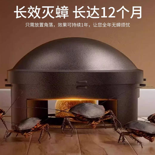【安全有效】日本小黑屋 环保无毒无味灭蟑螂药一盒12枚 商品图3