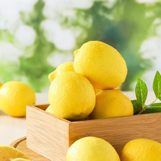 放心安岳柠檬 约500g/盒 安全安心可追溯 伊藤自有品牌 商品图0