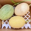 新疆哈密瓜 西州蜜  脆甜多汁 商品缩略图10