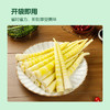 华田禾邦清水笋1斤*2袋装 小竹笋脆笋嫩笋尖 凉拌炒菜火锅食材 /粮油调味 /南北干货 /干菜类 商品缩略图4