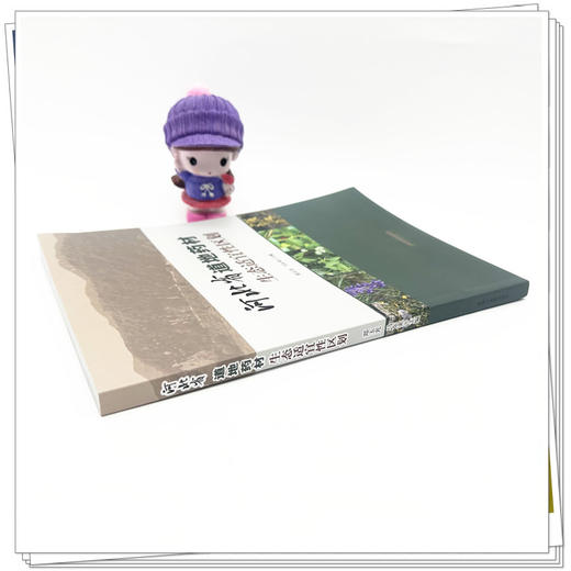 河北省道地药材生态适宜性区划 郑玉光 马东来 主编 中国中医药出版社 商品图2