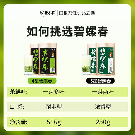 2026新茶上市明前春茶碧螺春绿茶258g*2袋4星 商品图4