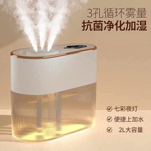 维米仕（vimees）三孔加湿器2L 白色VM8071 商品图4