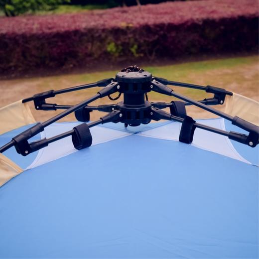 纵贯线双人单层自动帐篷ZP-12C 商品图4