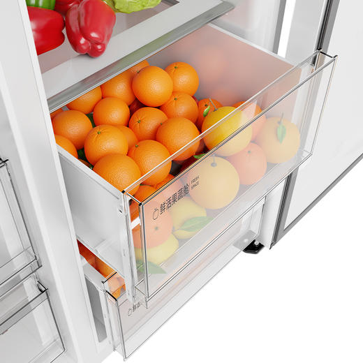 【TCL冰箱】556升对开门冰箱家用大容量嵌入式一级变频风冷无霜尾货 R556S3-S 556升晶瓷釉面板 商品图9