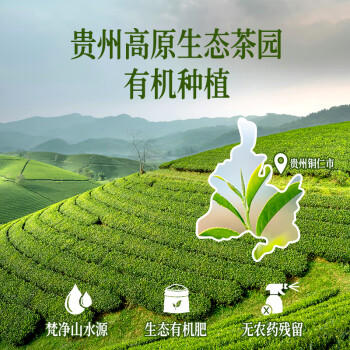 展艺臻选贵州高原有机抹茶粉50g雪花酥牛轧糖冲饮蛋糕面包烘焙原料 /粮油调味 /烘焙原料 /烘焙粉 商品图6