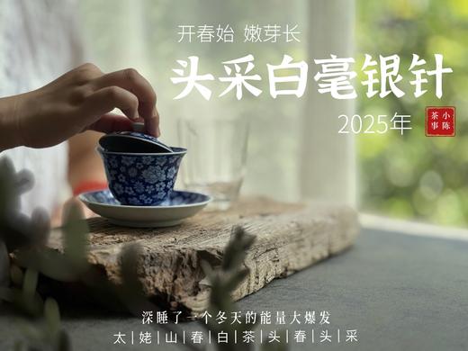 【2025春茶来了】2025头采银针《如琢》，上天精心打磨出的绝世佳品，毫香与花香尽显风流（一斤收藏装） 商品图8