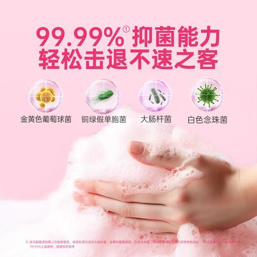 滴露泡沫慕斯洗手液250ml迪士尼版 商品图1