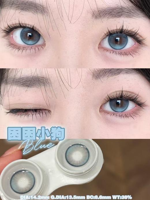 『中直径半年抛』 YEELENS-困困小狗 蓝-14.2mm【半年抛0-800度 无525/575】 商品图7