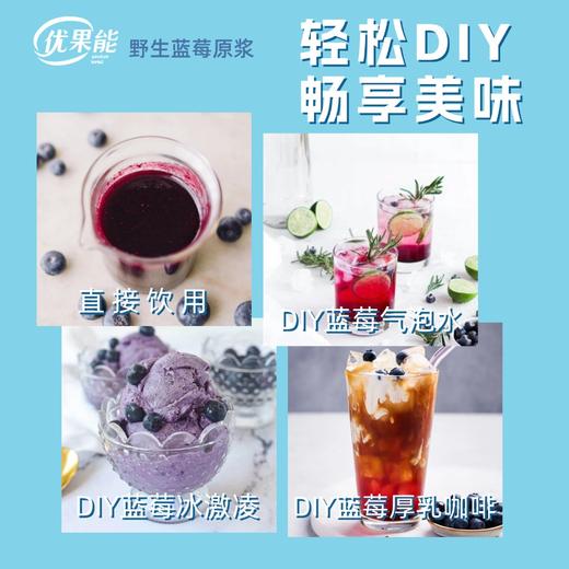 【买5赠1】优果能野生蓝莓果原浆 小分子原浆专利技术更易吸收NFC无添加便携直饮原生态 商品图2