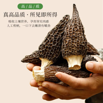 野马寨羊肚菌50g山珍菌菇干货头茬干羊肚非野生菌菌汤包煲汤 /粮油调味 /南北干货 /菌菇干货 商品图0