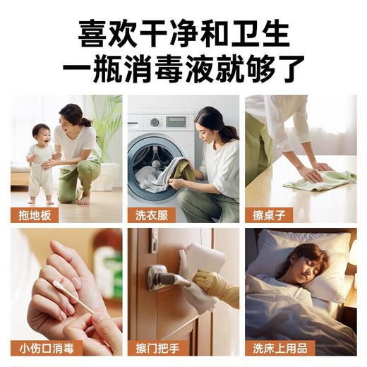 滴露 消毒液 250ml/瓶 商品图3