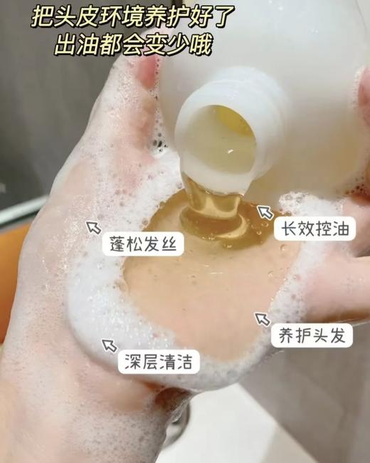 胖东来在售  日本进口PHARMA21（发玛）洗发水！发玛21  控油的600ML 顺滑的602ML 28年左右保质期 商品图4
