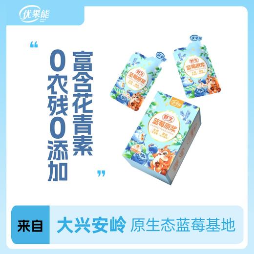 【买5赠1】优果能野生蓝莓果原浆 小分子原浆专利技术更易吸收NFC无添加便携直饮原生态 商品图4