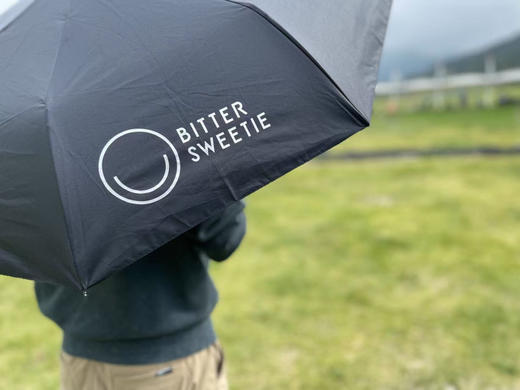 晴雨两用伞 商品图2