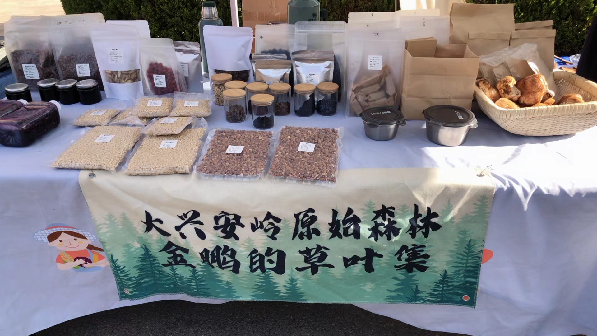 森林野生食材·金鹏的草叶集