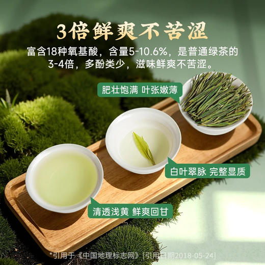 【年货礼盒】茶叶 安吉白茶 2025新茶 春茶 绿茶 茶叶罐装 茶饮 五虎 125g(买1送1同款，配手提袋) 商品图4