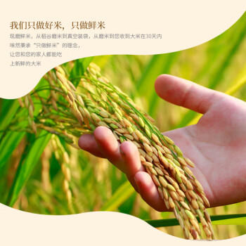 咪然富硒鲜米 长粒香东北大米 黑土地种植 当季新米 10斤 /粮油调味 /米 /长粒香米 商品图5