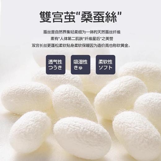 ZEAMO蚕丝拉绒防滑款 商品图1