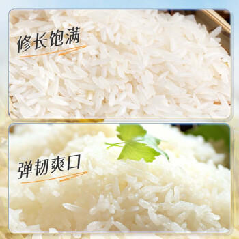 KO-KO(口口牌) 精选进口茉莉香米大米5斤 长粒米 koko香米 /粮油调味 /米 /泰国香米 商品图5