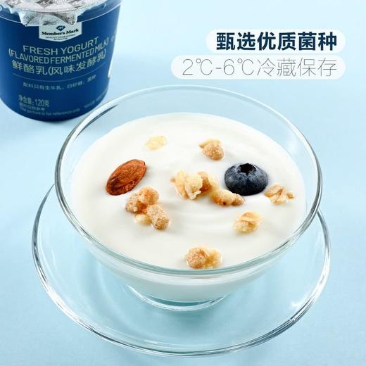【悦惠精选】MM鲜酪乳（风味发酵乳)120g 商品图1