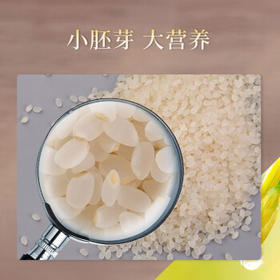 东北老农当季新米 胚芽米大米 5斤 粥米 2.5kg /粮油调味 /米 /胚芽米
