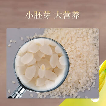 东北老农当季新米 胚芽米大米 5斤 粥米 2.5kg /粮油调味 /米 /胚芽米 商品图0