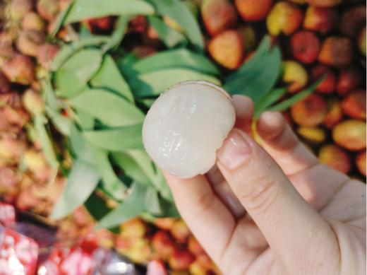 桂花香荔枝一斤 商品图4