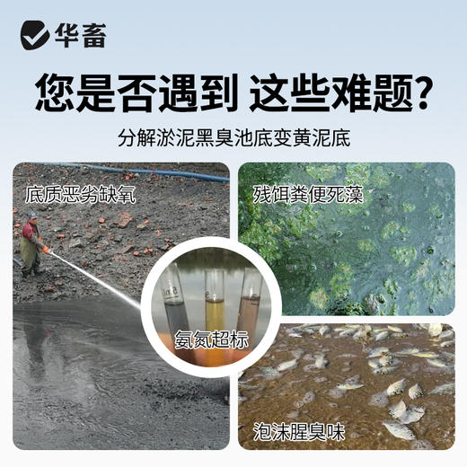 华畜生物底改三色颗粒20斤干撒50亩 三种菌 菌酶结合分解能力更强 商品图1