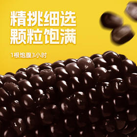 失重密码黑糯玉米3.52斤 220g*8棒 东北新鲜甜糯黏玉米大苞米非转基因真空 /粮油调味 /杂粮 /谷米类