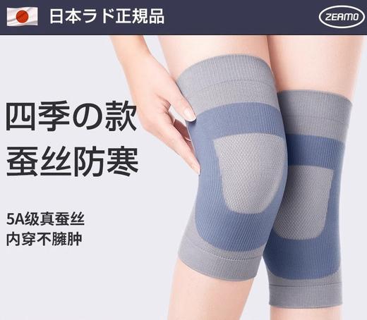 ZEAMO蚕丝拉绒防滑款 商品图0